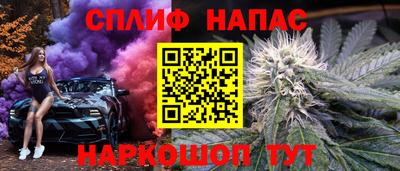 прущие грибы Моздок