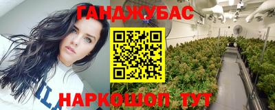 PSILOCYBIN Можга
