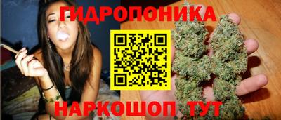 PSILOCYBIN Можга