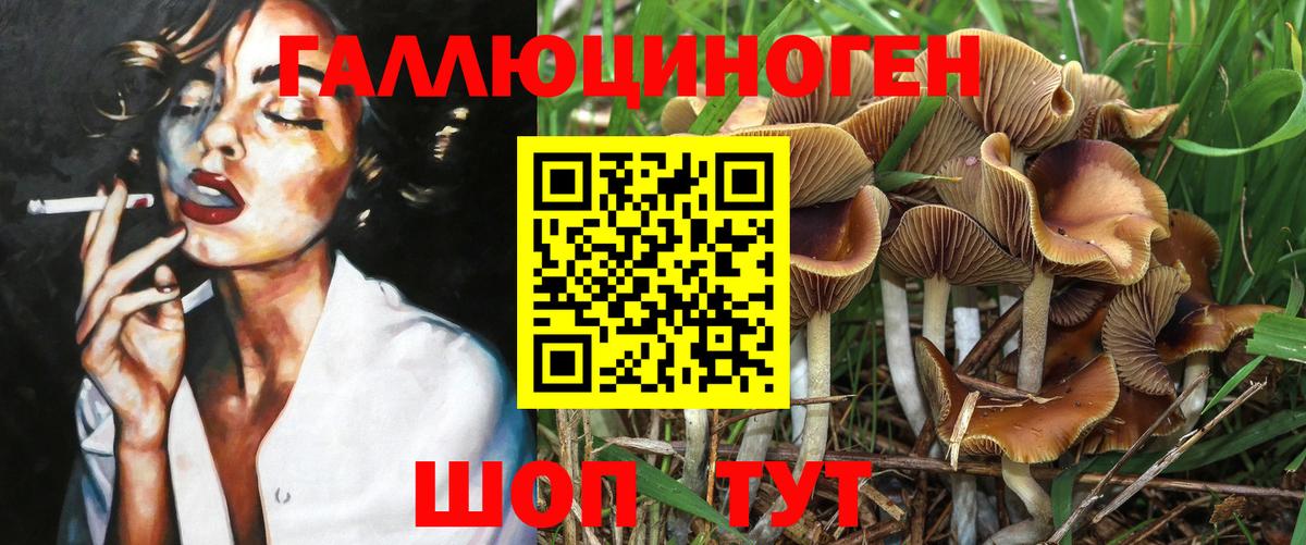 Псилоцибиновые грибы Psilocybe  наркотики  Черногорск  Вход с VPN  Псилоцибиновые грибы Psilocybine cubensis 