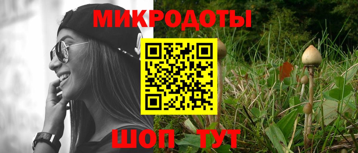 Галлюциногенные грибы Magic Shrooms Черногорск