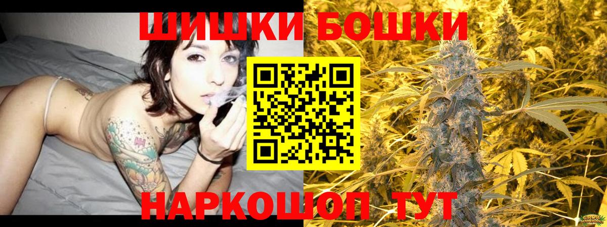 Конопля сатива Черногорск